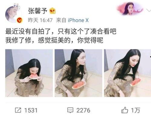 娱乐吃瓜酱的作品地域黑