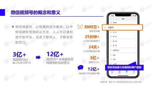 吃瓜网红翻车视频下载免费,揭秘网络红人背后的真相