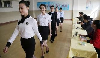 身材面试在线观看,揭秘职场身材歧视背后的真相