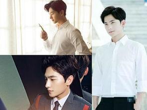 爆料圈内男明星小说男主