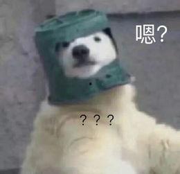 羊了个羊吃瓜娱乐